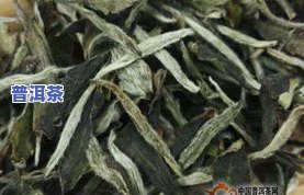 碎银子是那产的茶叶-碎银子是那产的茶叶吗