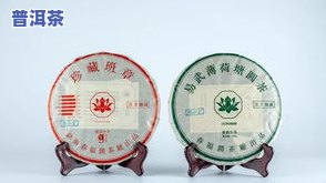 7758普洱茶：探究三大厂牌之——普洱茶7752与7758