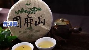 不同山头普洱茶区别，揭秘普洱茶的世界：不同山头的口感和品质差异