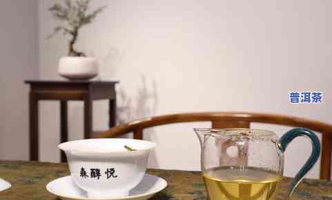 白道黑茶普洱茶-白茶 普洱 黑茶