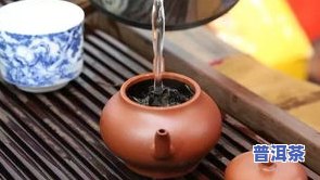 功夫茶用什么茶叶好一点，选择更佳茶叶：功夫茶应用哪种茶叶？