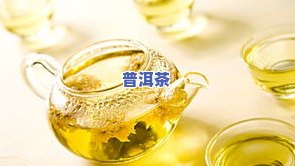 功夫茶用什么茶叶好喝，探讨功夫茶的口感：哪种茶叶最适合泡制？