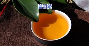 青柑普洱茶春季适合种植吗-青柑普洱茶春季适合种植吗视频