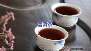 普洱茶复杂-普洱茶的常见疑问