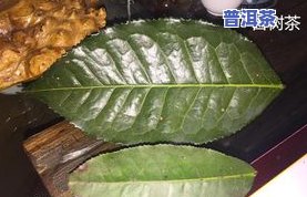 古树普洱茶叶有锯齿吗，探秘古树普洱茶：它们的叶片上真的有锯齿吗？