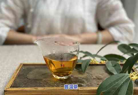 用什么茶杯喝茶好，茶杯选购指南：如何选择适合你的茶杯？