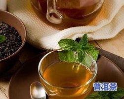 长白山什么茶叶更好-长白山有什么茶叶