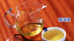 2019普洱茶春茶价格多少？最新行情揭晓！