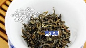 明后普洱茶-明前普洱