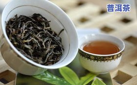 临沧茶叶价格老树茶-云南临沧老树茶