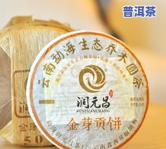 黄金芽茶价格多少钱一斤，黄金芽茶市场价格行情：每斤多少钱？