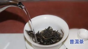 普洱茶多少钱1斤？求详细价格信息！