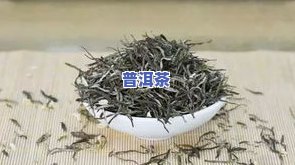 单株普洱茶价格多少，探究单株普洱茶的价格，你了解多少？