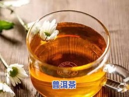 普洱茶何首乌茶-普洱茶何首乌茶怎么泡