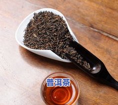 牛蒡茶加普洱茶的功效与作用，探究牛蒡茶与普洱茶的神奇结合：功效与作用大揭秘