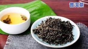 北方人适合饮用普洱茶糯米香茶吗？