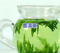 上午喝什么茶叶更好？适合女生和减肥的茶饮推荐