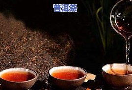 如何选择最适合送领导的茶叶？全攻略