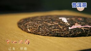 普洱茶生肖鼠纪念茶图片，普洱茶生肖鼠纪念茶图片 | 传承经典，品味生活