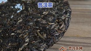 普洱茶饼上有老鼠尿、被啃或生虫？解决方法大揭秘！