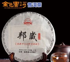 云河茶厂冬茶：品质、价格全解析