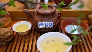 普洱茶的专业知识是什么内容，深入熟悉普洱茶：专业知