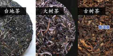 普洱茶知识汇总，全面解析：普洱茶的起源、种类、制作工艺及品鉴方法