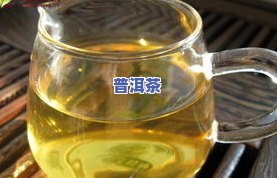 800年古树茶冰岛-古树茶冰岛价格