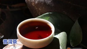 普洱茶和桔子茶的区别，探讨普洱茶与桔子茶的异同：一场味觉的盛宴