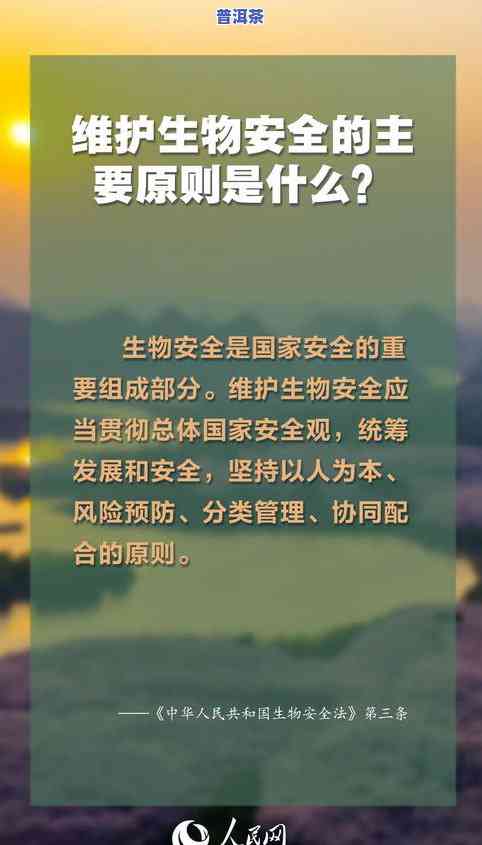 深入理解肉桂普洱茶搭配理念：从原则到实践