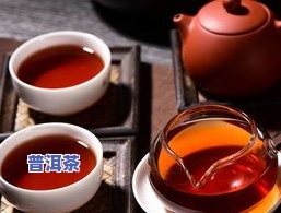 普洱茶的茶品种大全：详细介绍与价格一览