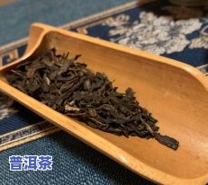 普洱茶的茶品种大全：详细介绍与价格一览