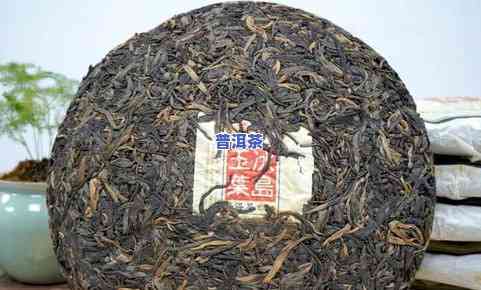 冰岛茶饼产地是哪里-冰岛茶饼产地是哪里的