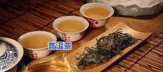 探秘河南人常喝的普洱茶种类及其特点