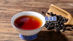 普洱茶茶化石：品种特点、冲泡方法与鉴别技巧全解析