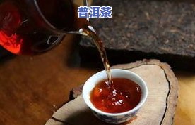 普洱茶茶化石：品种特点、冲泡方法与鉴别技巧全解析