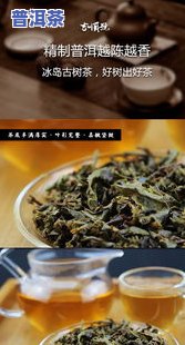 老寨冰岛古树普洱茶，【限时抢购】老寨冰岛古树普洱茶，品味云南原生态好茶！