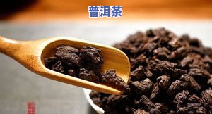 茶化普洱茶-什么是普洱茶化石