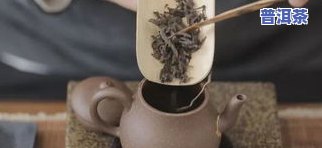 广西出产什么茶，揭秘广西茶叶：你知道这里产什么茶吗？