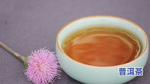 广西有什么茶的茶叶-广西有什么茶的茶叶品种