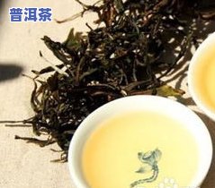 普洱茶是喝生茶还是熟茶-普洱茶是喝生茶还是熟茶好