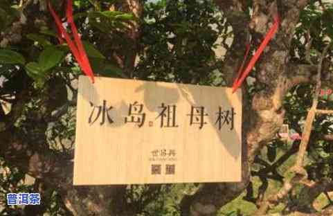 冰岛古树茶存放多久，如何保存冰岛古树茶？——茶叶存放期限解析