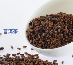 决明子桑葚普洱茶如何有效减肥？