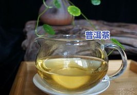 冰岛古树茶生茶的正确冲泡方法与技巧，让你轻松品尝到美味好喝的冰岛古树茶！