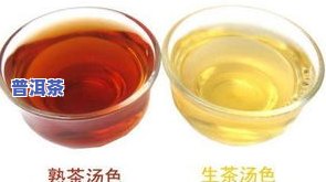 云南普洱茶饼：价格一览与正确冲泡方法