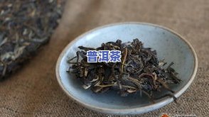 在上海的环境下普洱茶饼怎么保存，上海环境下的普洱茶饼保存攻略