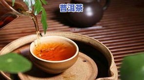 小青柑普洱茶陈皮的功效与作用解析