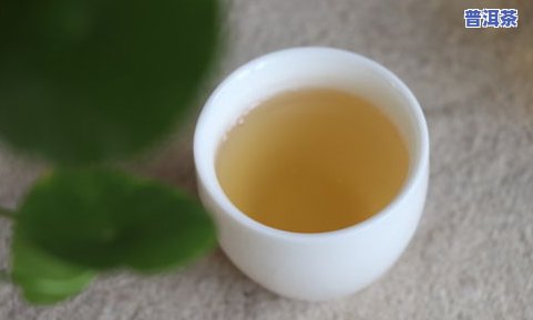 云南茶城普洱茶-云南茶城普洱茶价格表