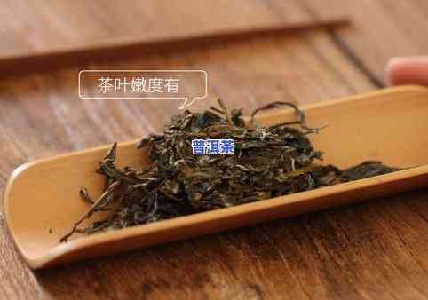 陈皮普洱茶的泡法,看完就会!，轻松学会！陈皮普洱茶的正确泡法，一看就懂！