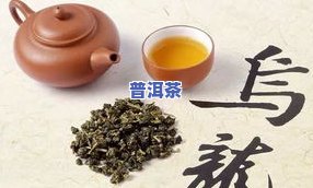 普洱茶跟冬瓜荷叶哪个效果好-普洱茶跟冬瓜荷叶哪个效果好些